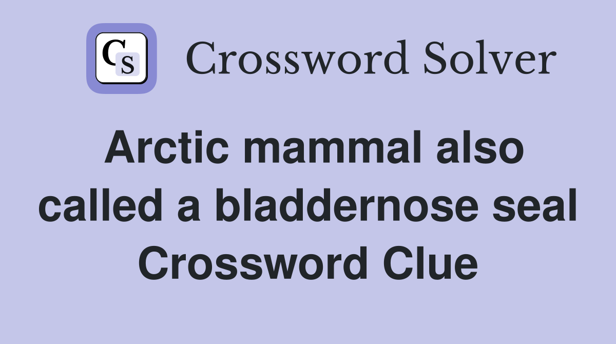 Arctic mammal also called a bladdernose seal - Crossword Clue Answers